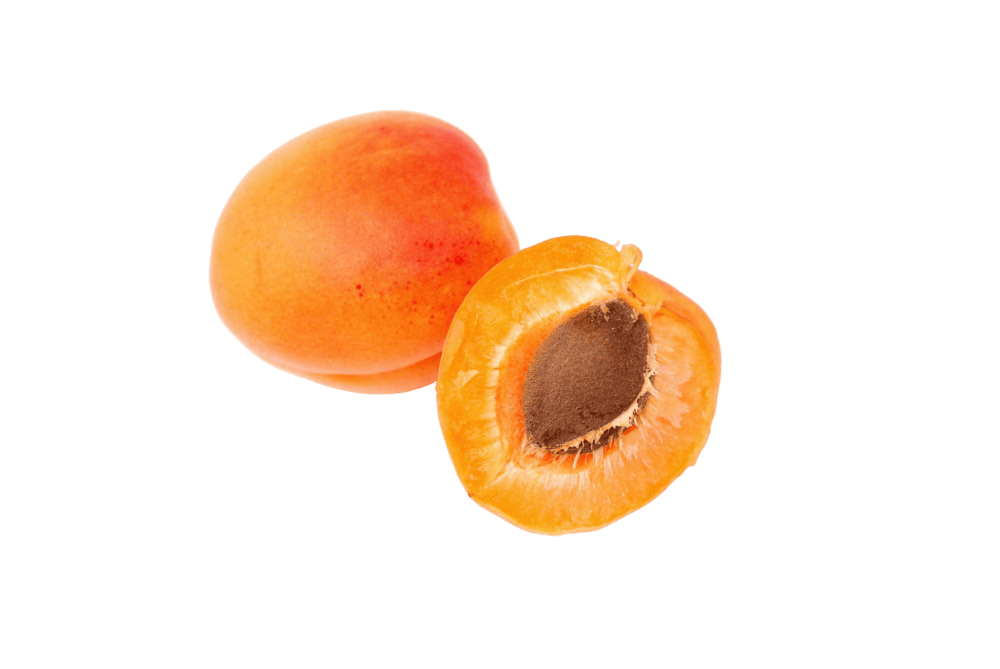 apricot kernel oil